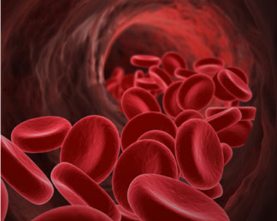 Blodkärl och och åderförkalkning - nitrat från rödbetor ökar kväveoxidbildning, ger friskare blodkärl.