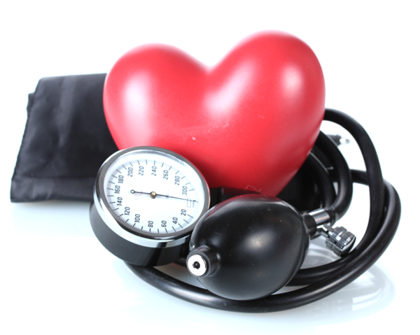 blodtrycksmätare - högt blodtryck skadligt för hjärta och kärl, kan sänkas med rödbetsjuice